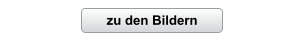 zu den Bildern