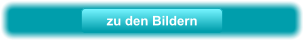 zu den Bildern
